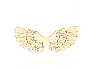 Andělská křídla 10cm 02