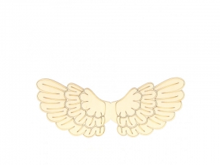 Andělská křídla 15cm 22