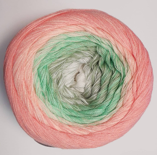 Soft Cake 52