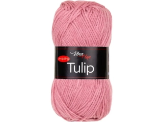 Tulip 41071