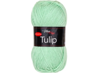 Tulip 41197