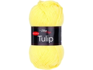 Tulip 41244
