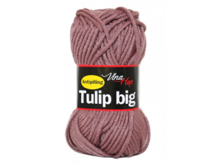 Tulip Big 4077 - skladem 3ks