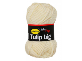 Tulip Big 4172 - skladem 1ks 