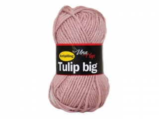 Tulip Big 4401