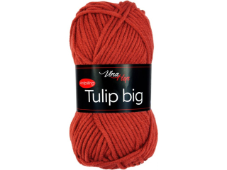 Tulip Big 4238 - skladem 4ks 